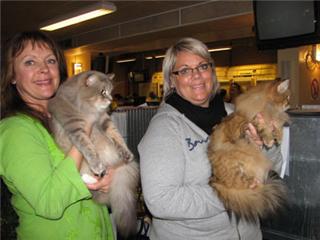 Nellie.jpg
