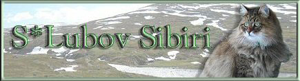 LubovSibiri_banner-12.jpg