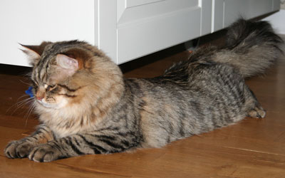lena-1.jpg